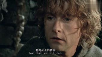 指环王在线观看,在线观影之旅，探寻中土世界的奇幻冒险