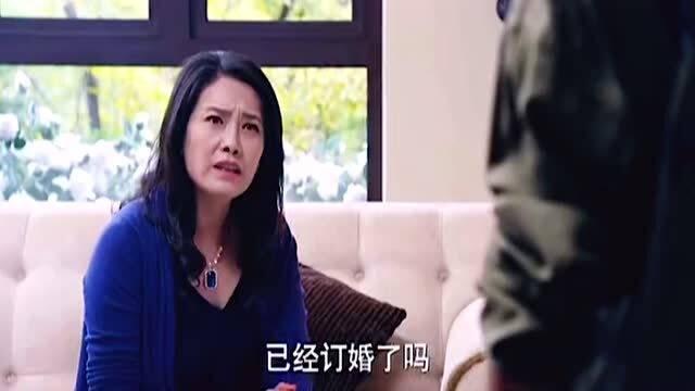 朋友的妈妈2在线观看,温情再现，家庭情感深度剖析