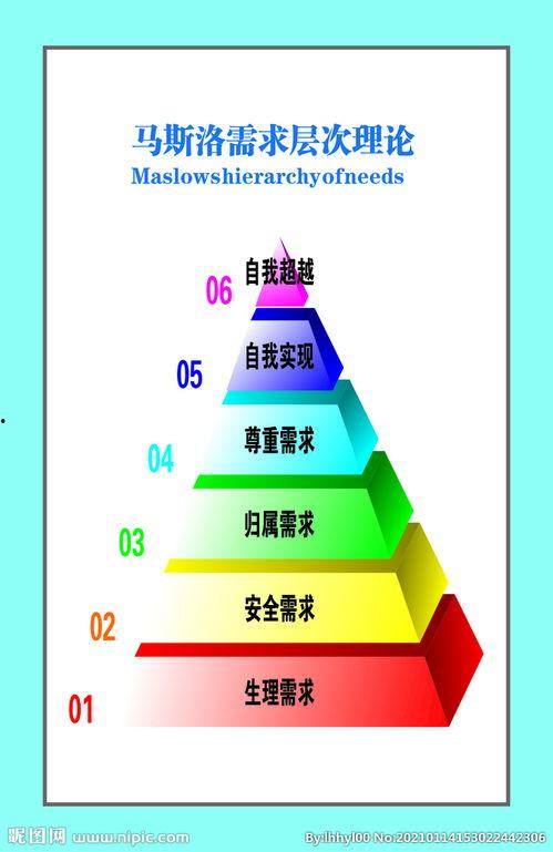 理论片在线观看,在线观看理论片，开启知识之门