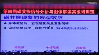 理论片在线观看,在线观看理论片，开启知识之门