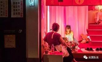 红灯区在线观看,在线观看背后的真实世界