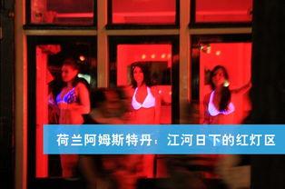 红灯区在线观看,在线观看背后的真实世界