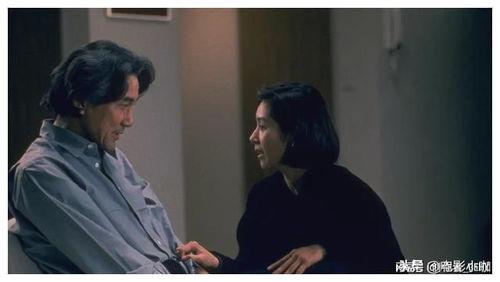 论理片在线观看,探索智慧与思考的视觉盛宴