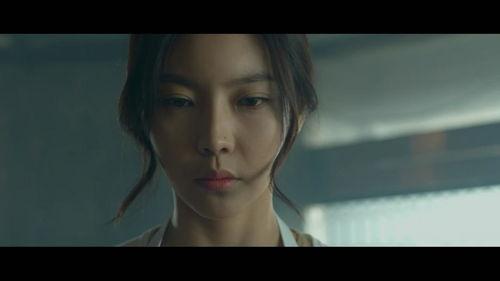 屠夫小姐 在线观看,在线观看，揭开神秘屠夫的惊悚故事