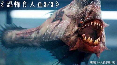 食人鱼3d在线观看,惊悚深海猎杀，在线惊悚盛宴